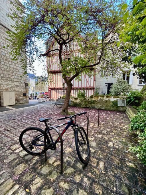 Appartement Cosy Hypercentre Place St Pierre ソミュール エクステリア 写真