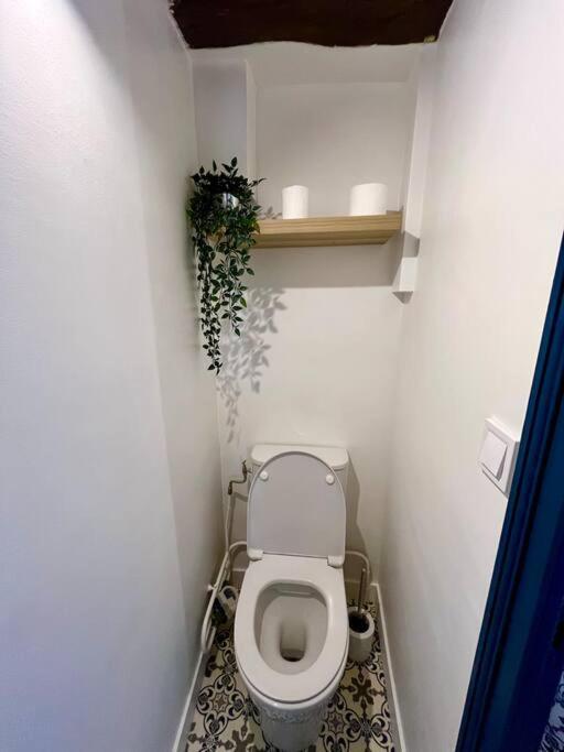 Appartement Cosy Hypercentre Place St Pierre ソミュール エクステリア 写真